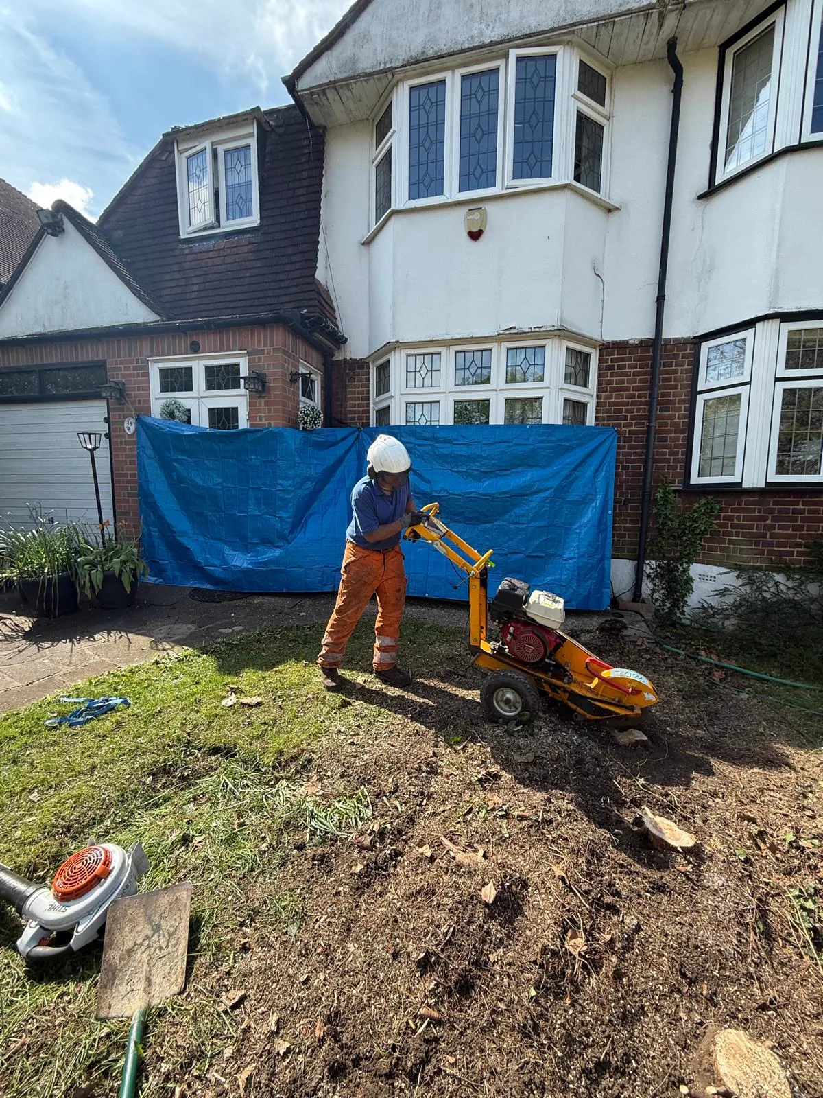 Stump grinder working on a residential lawn to remove a tree stump